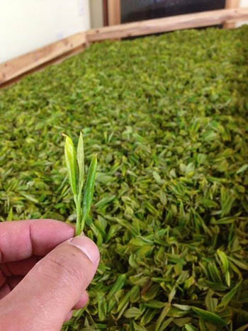 ロイヤルティーへの道