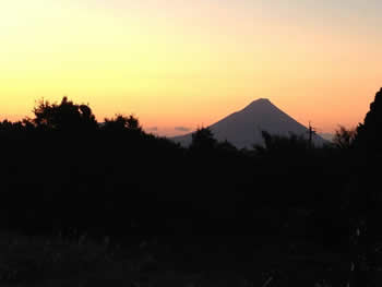 「登る朝日の茶業農家」