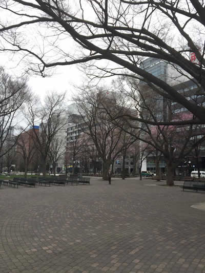 札幌大通り公園2