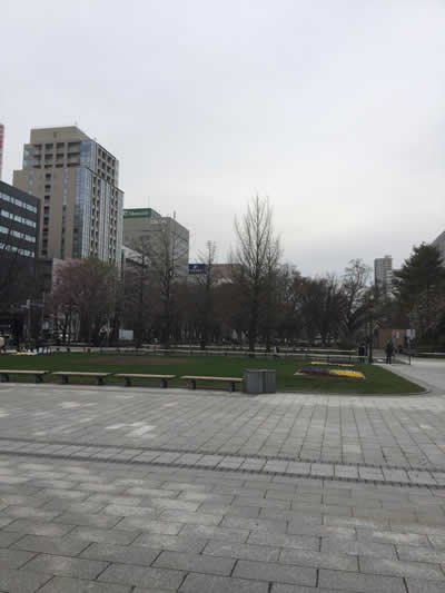 札幌大通り公園3