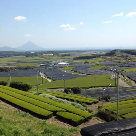 知覧というところ