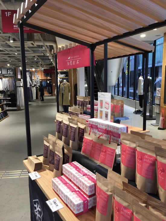 53236712_2086510321466706_1363257168467329024_o - コピー.jpg