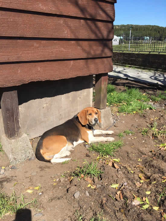 53600184_2096490537135351_2565715331217620992_o - コピー.jpg