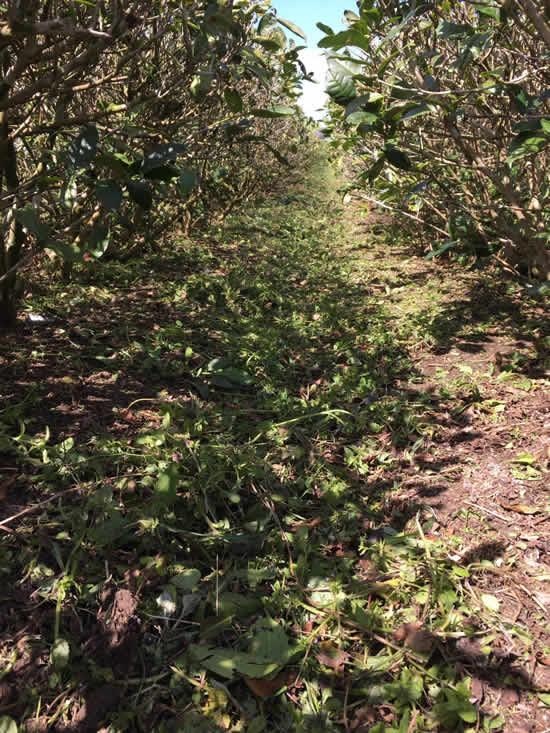 53968613_2096490417135363_3841216783000272896_o - コピー.jpg