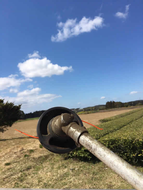 53553198_2096490393802032_9089444373766078464_o - コピー.jpg